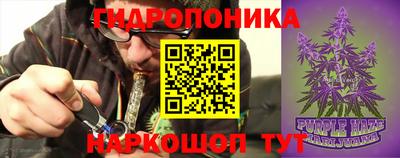 гашик Кунгур