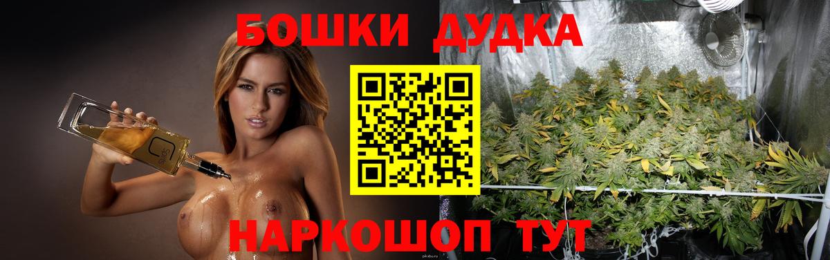 Марихуана план  Вход с VPN  Великие Луки  Бошки марихуана марихуана 